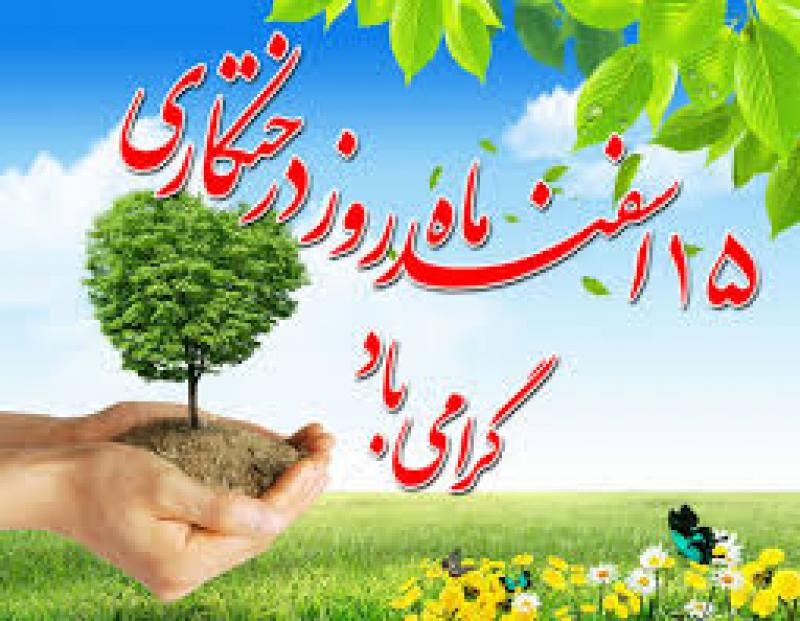 روز درختكاري 96
